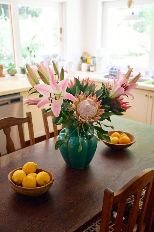 4 Bedroom Property for Sale in The Crags Western Cape